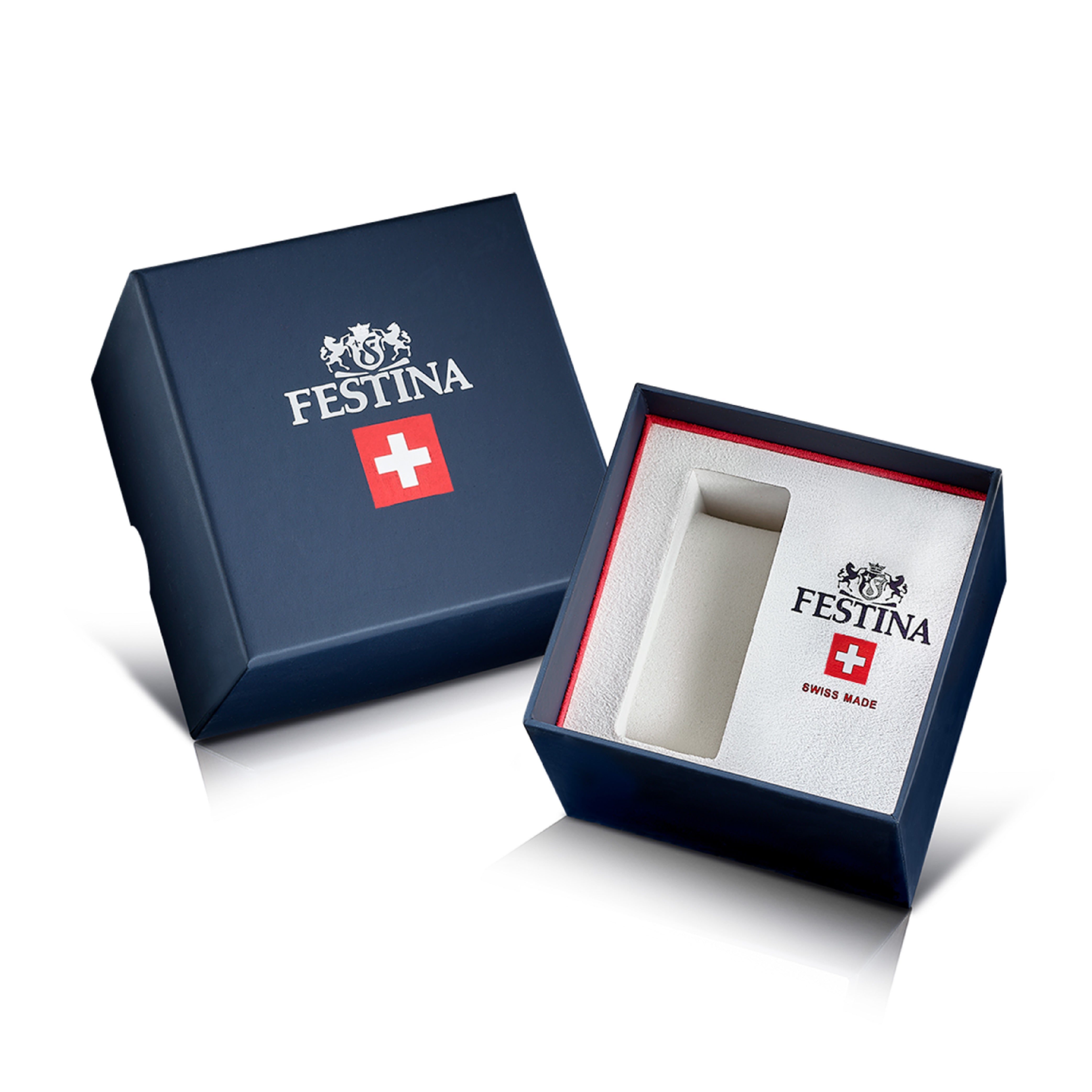 Swiss Made 40MM Quartz - F20016-1